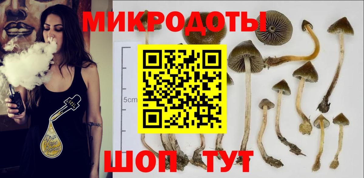 Псилоцибиновые грибы прущие грибы  купить наркотики цена  Усть-Лабинск  Вход с VPN 
