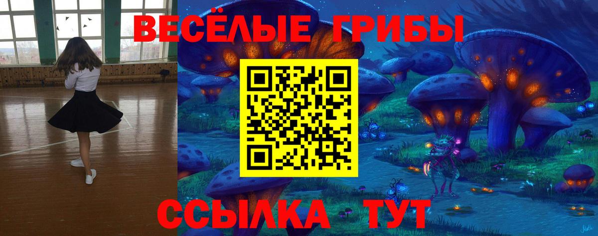 Галлюциногенные грибы Psilocybine cubensis Усть-Лабинск